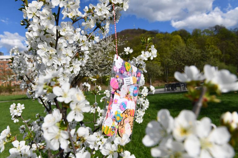 Kleine Geschenke vom „FeierAbend“-Osterhasen